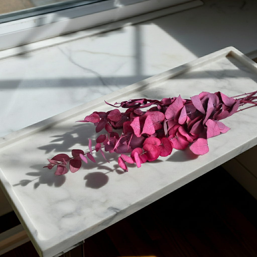 Eucalyptus Stuartiana růžový – přírodní dekorace do aranžmá